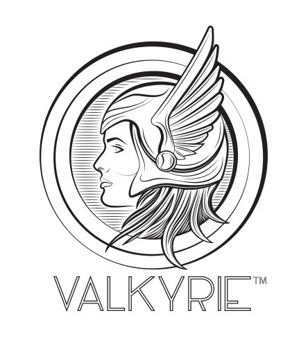 Valkyrie emblem and wordmark